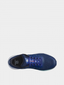 Кроссовки для бега SALOMON Spectur модель L41589900 Фото