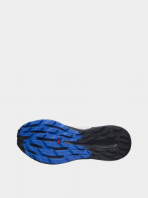 Кроссовки для бега SALOMON Pulsar Trail модель L41602700 Фото