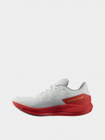 Кроссовки для бега SALOMON Spectur модель L41749000 Фото