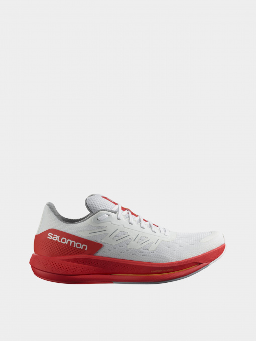 Кроссовки SALOMON Spectur модель L41749000 Фото