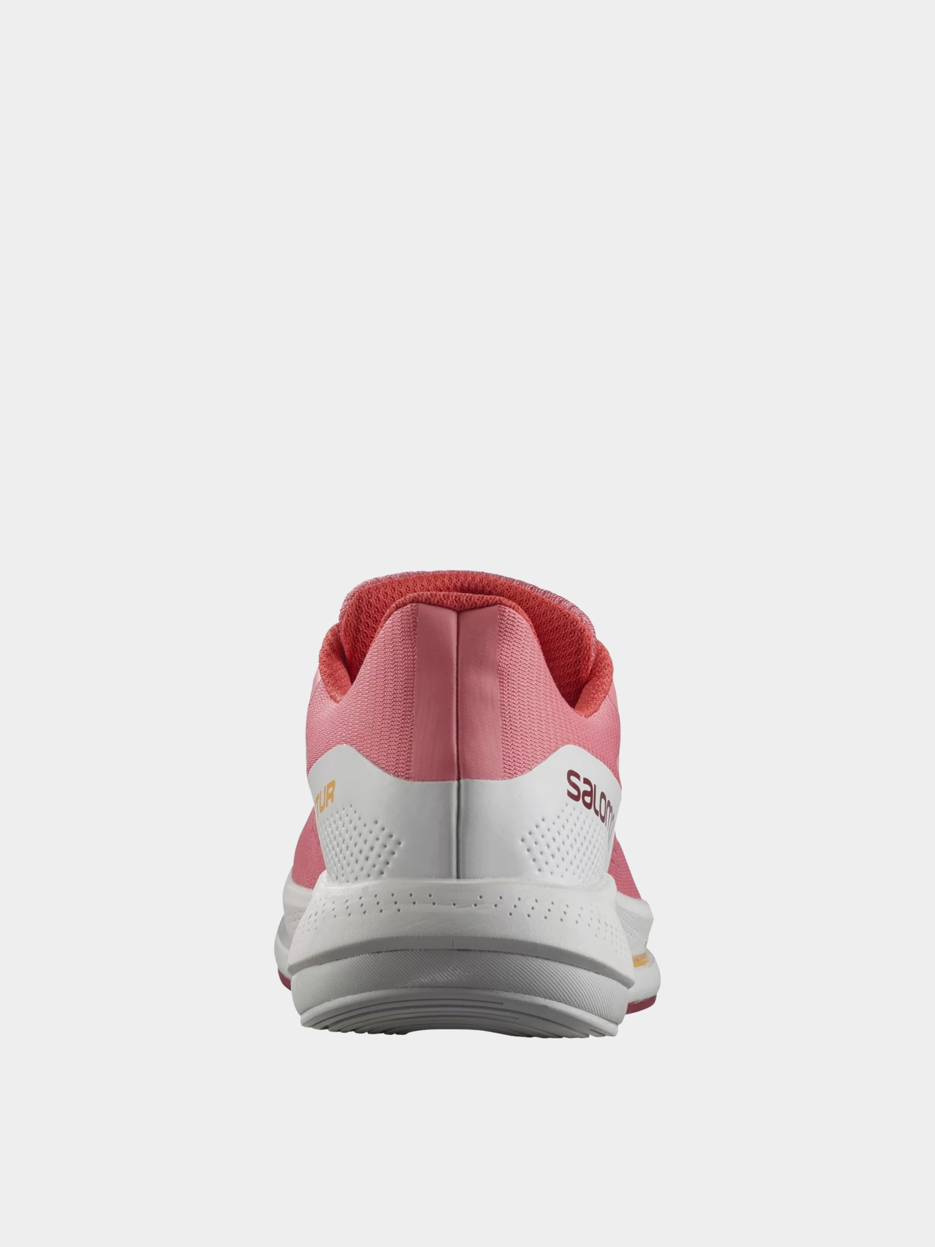 Кроссовки для бега SALOMON Spectur модель L41749100 Фото