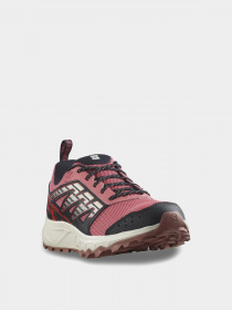 Кроссовки SALOMON Wander GTX модель L47153400 Фото