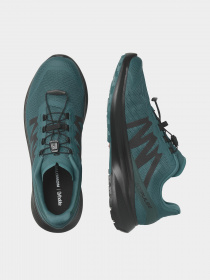 Кроссовки для бега SALOMON Hypulse модель L47205500 Фото