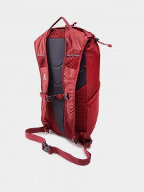 Рюкзак SALOMON TRAILBLAZER 10 модель LC1520100 Фото