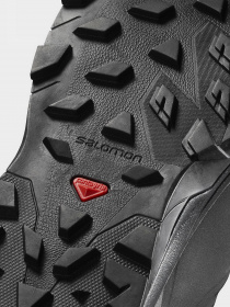 Ботинки SALOMON Outblast Ts Cswp модель L40922300 Фото