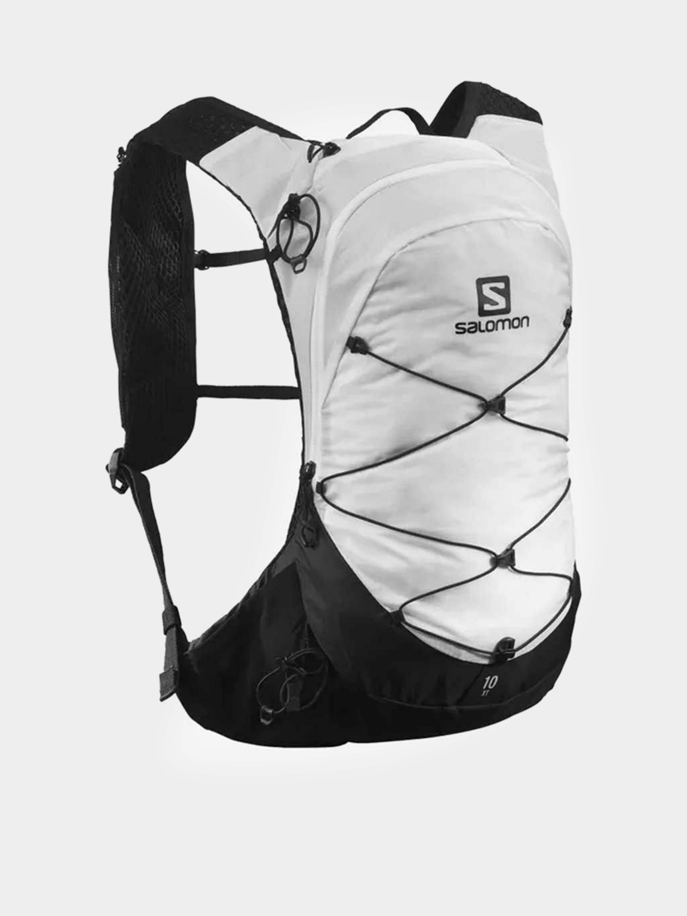 Повседневный рюкзак SALOMON XT 10 модель LC1764400 Фото