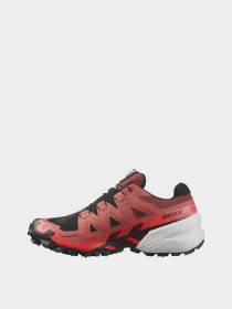 Кроссовки для бега SALOMON Trail Running Spikecross 6 Gtx модель L47270700 Фото