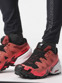 Кроссовки для бега SALOMON Trail Running Spikecross 6 Gtx модель L47270700 Фото