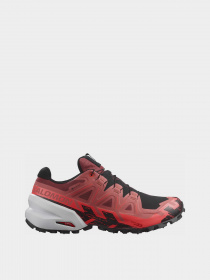 Кроссовки для бега SALOMON Trail Running Spikecross 6 Gtx модель L47270700 Фото