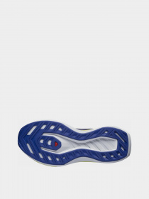 Кросівки для бігу SALOMON Drx Bliss Running Модель L47292500 Фото