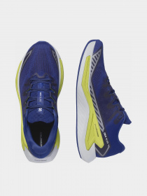 Кросівки для бігу SALOMON Drx Bliss Running Модель L47292500 Фото