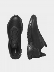 Кросівки повсякденні SALOMON Alphacross 5 GTX модель L47307500 Фото