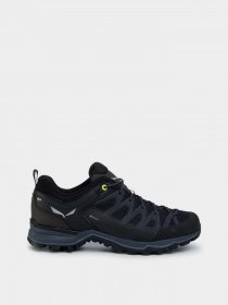 Кроссовки для тренировок Salewa MTN Trainer Lite GTX модель 61361 0971 Фото