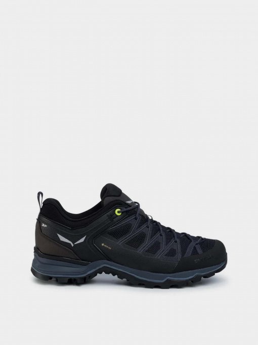 Кроссовки для тренировок Salewa MTN Trainer Lite GTX модель 61361 0971 Фото