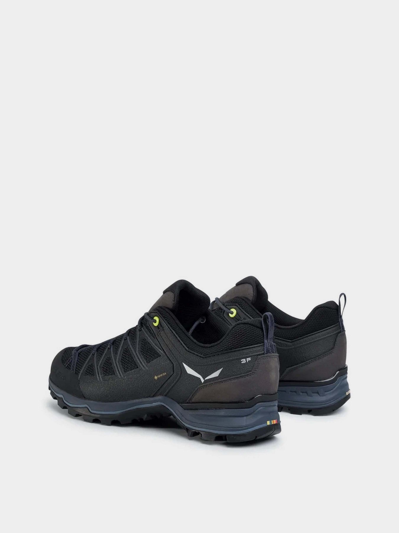 Кросівки для спорту Salewa MTN Trainer Lite GTX модель 61361 0971 Фото