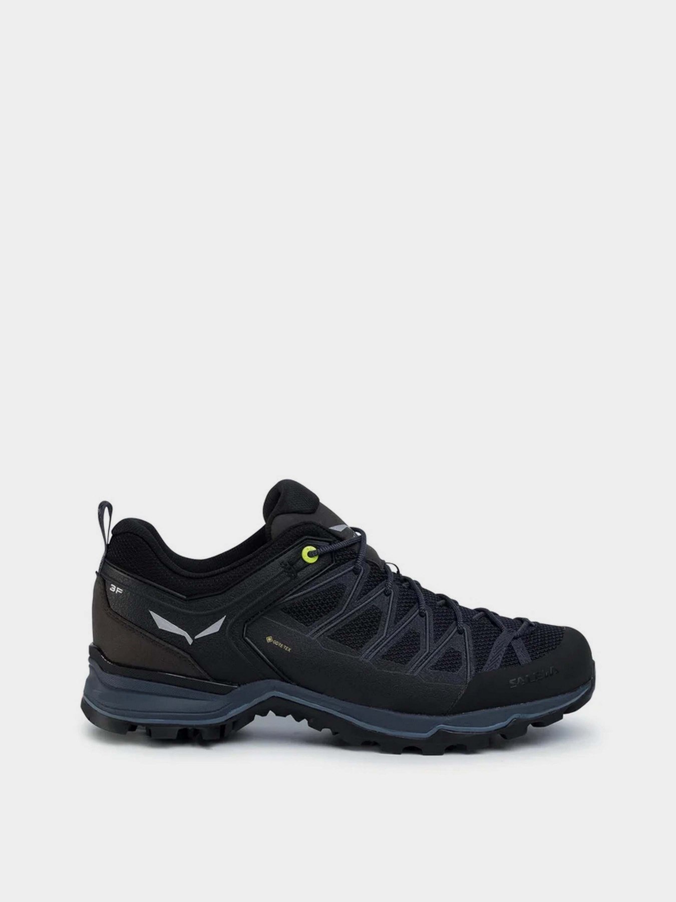 Кросівки для спорту Salewa MTN Trainer Lite GTX модель 61361 0971 Фото