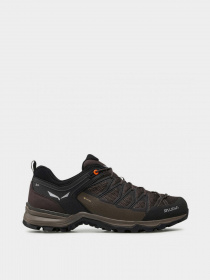 Кроссовки для тренировок Salewa MTN Trainer Lite GTX модель 61361 7512 Фото
