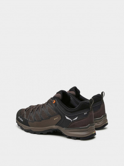 Кросівки для тренувань Salewa MTN Trainer Lite GTX модель 61361 7512 — фото - INTERTOP