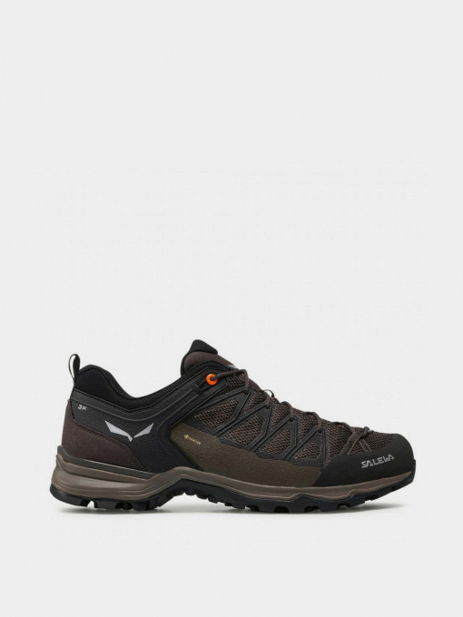 Кросівки для тренувань Salewa MTN Trainer Lite GTX модель 61361 7512 Фото
