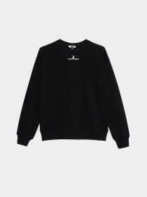 Світшот INTERTOP модель 229-8 Фото