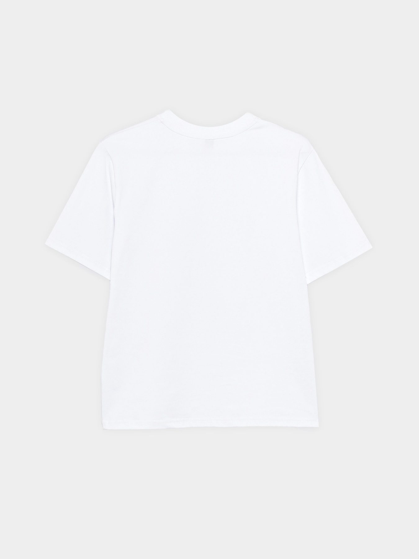 Футболка INTERTOP модель 137-3 Фото