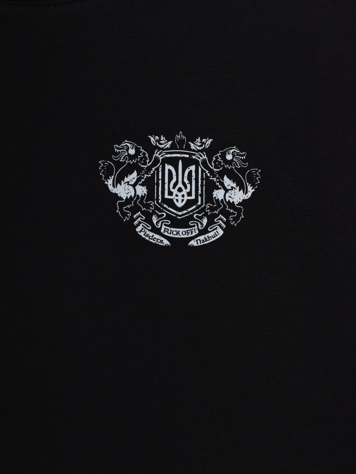 Футболка INTERTOP x Лесь Подерв'янський модель 136-8 Фото