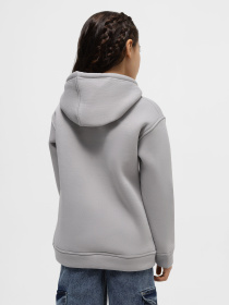 Худі INTERTOP модель 12021-4 Фото