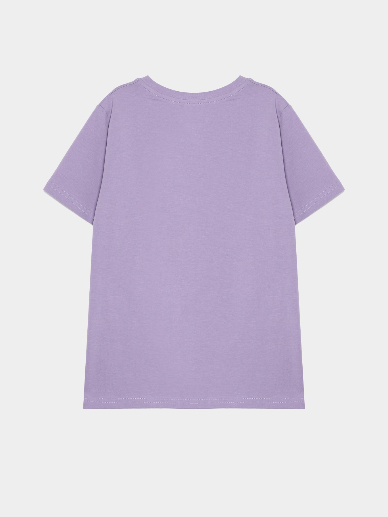 Футболка INTERTOP Модель 13015-19 Фото