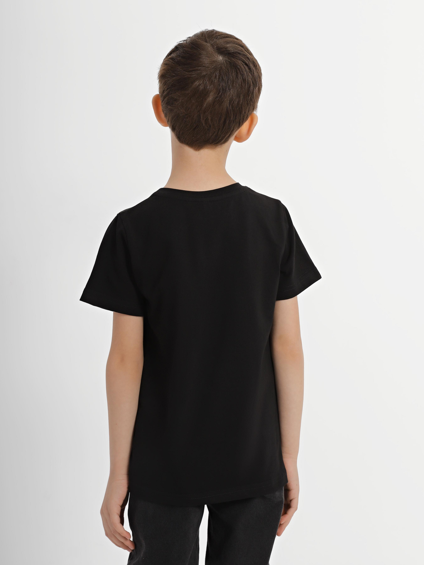 Футболка INTERTOP модель 301-89 Фото