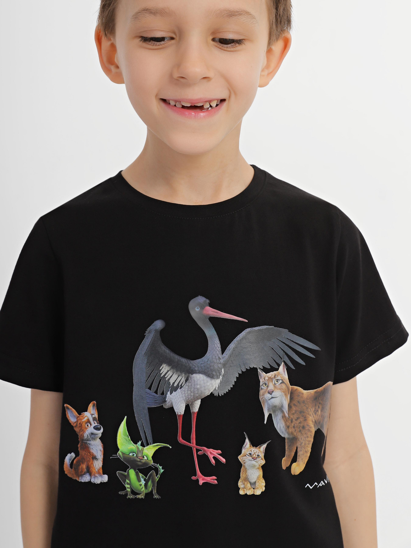 Футболка INTERTOP модель 301-89 Фото