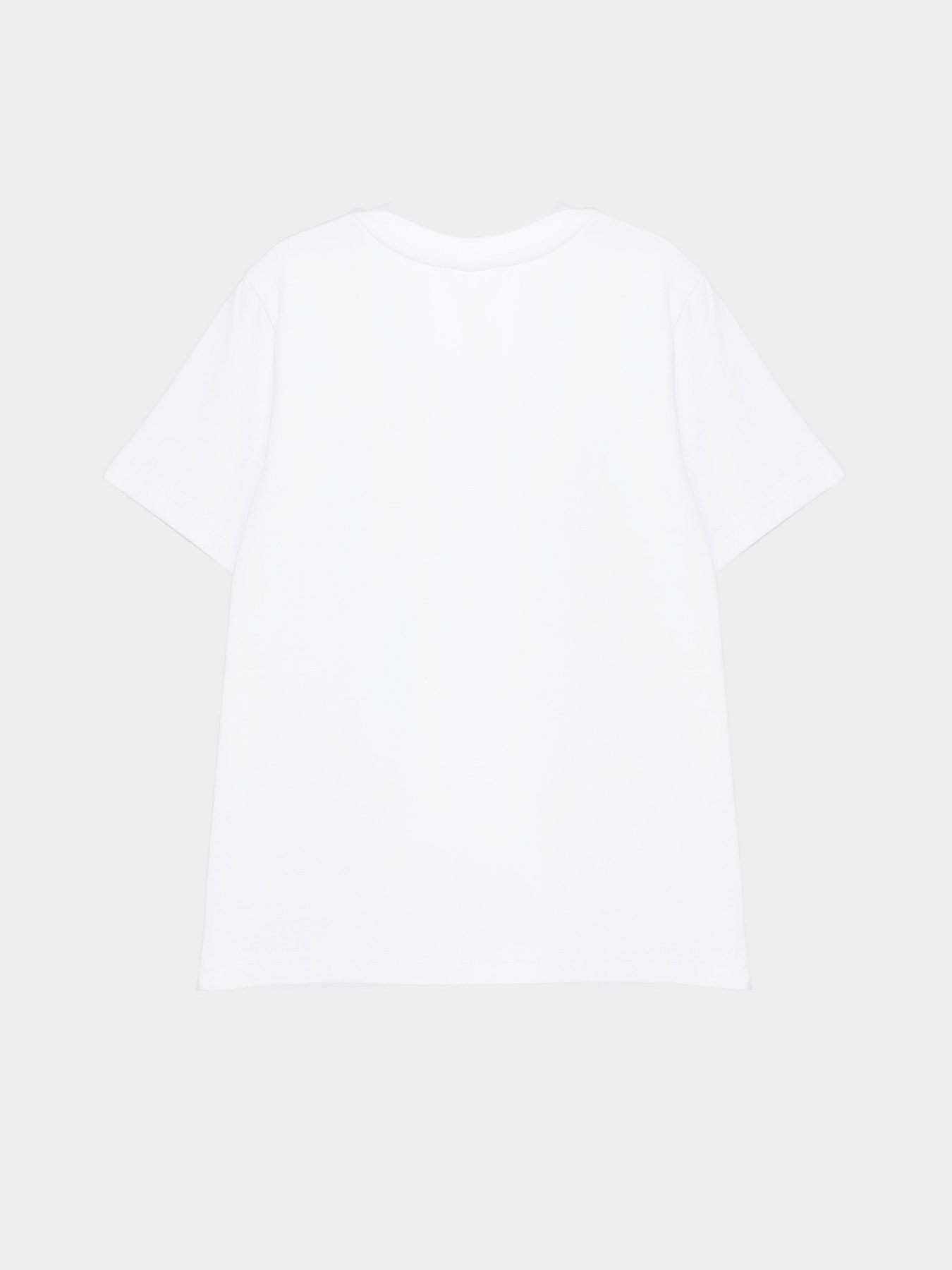 Футболка INTERTOP модель 301-90 Фото