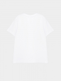 Футболка INTERTOP модель 301-90 Фото