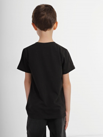 Футболка INTERTOP модель 301-33 Фото