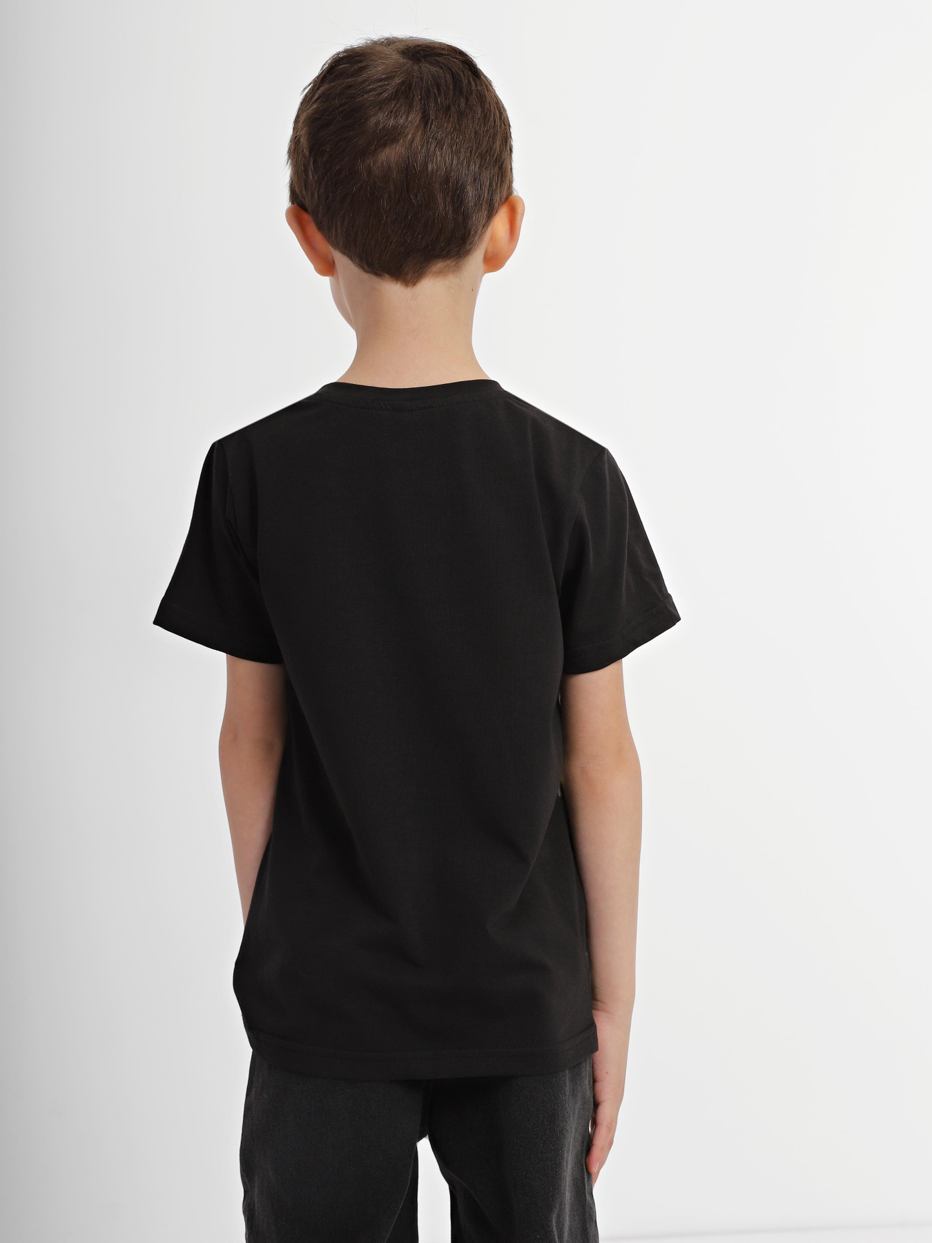 Футболка INTERTOP модель 301-33 Футболка INTERTOP модель 301-33 Фото