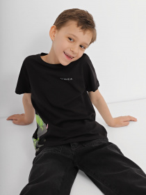 Футболка INTERTOP модель 301-33 Футболка INTERTOP модель 301-33 Фото