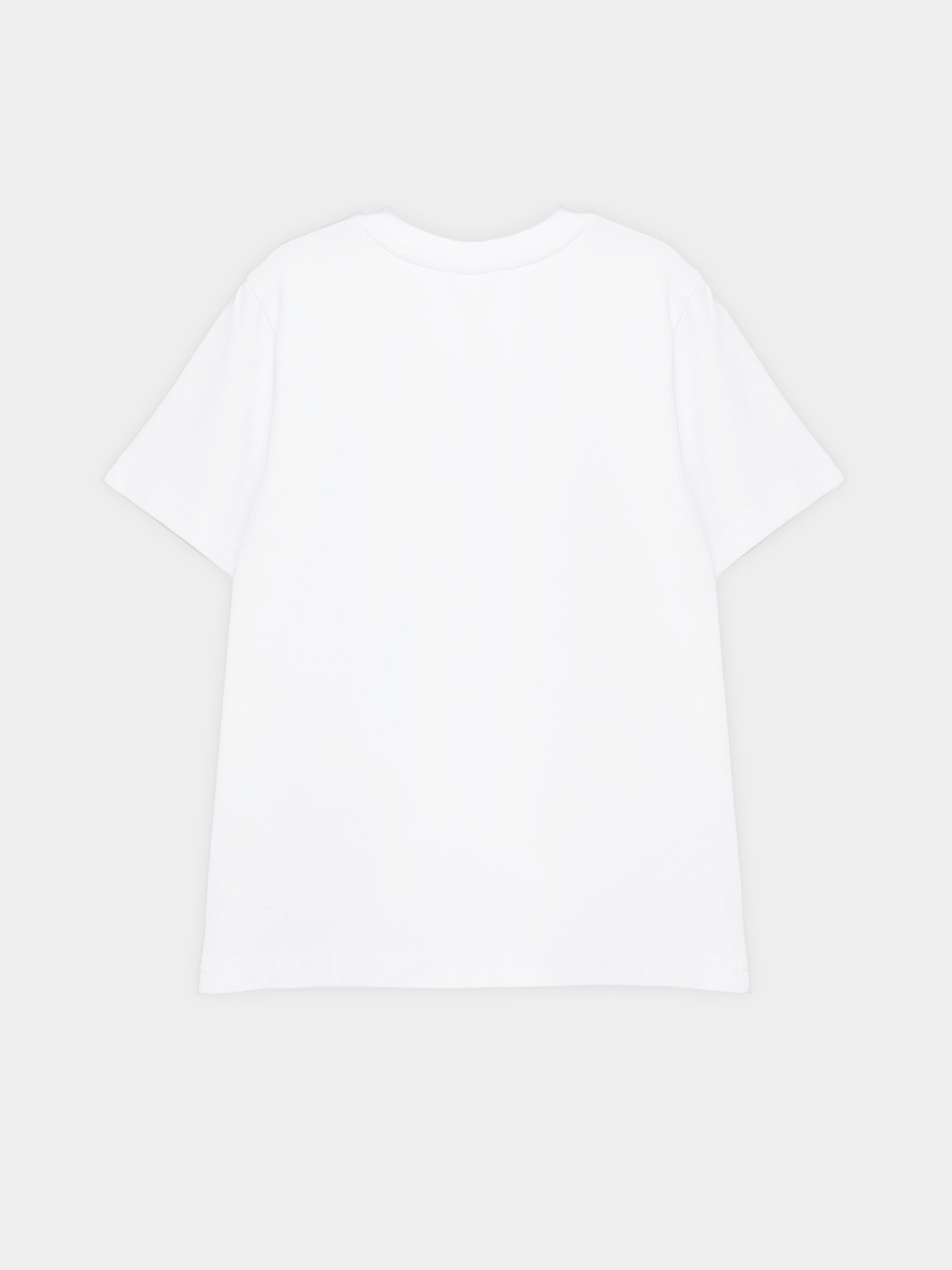 Футболка INTERTOP модель 301-15 Фото