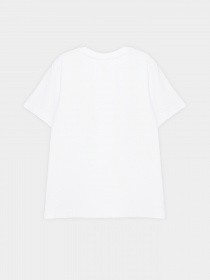 Футболка INTERTOP модель 301-15 Фото