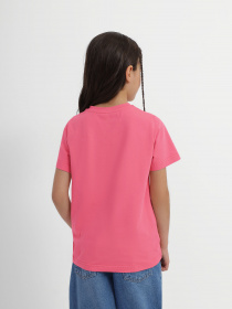 Футболка INTERTOP модель 301-34 Фото