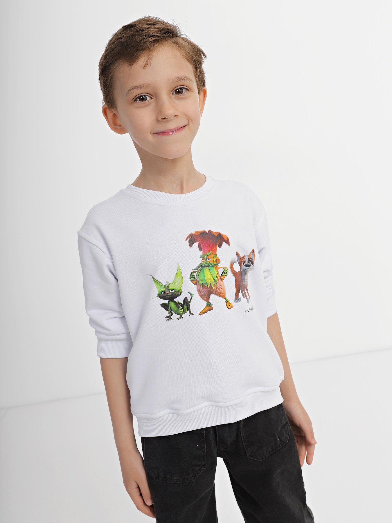 Свитшот INTERTOP модель 12019-3 Фото