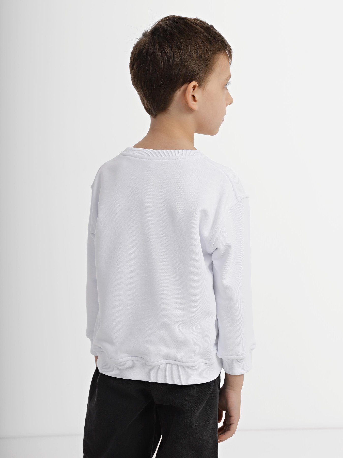 Свитшот INTERTOP модель 12019-3 Фото