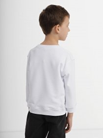 Свитшот INTERTOP модель 12019-3 Фото