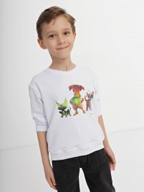 Світшот INTERTOP модель 12019-3 Фото