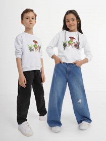 Свитшот INTERTOP модель 12019-3 Фото