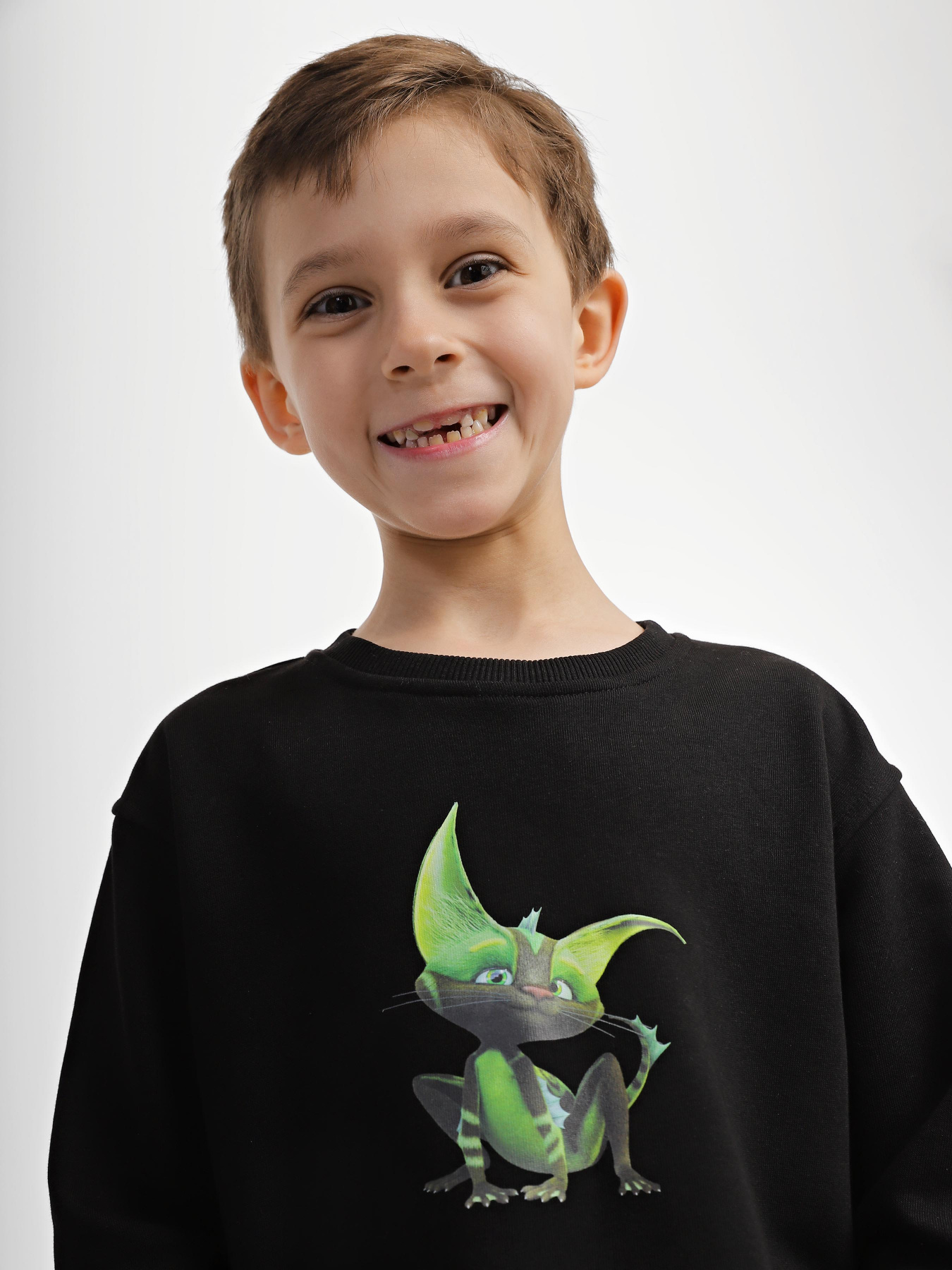 Свитшот INTERTOP модель 12019-8 Фото