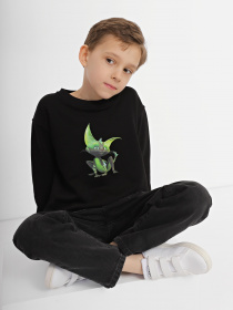 Свитшот INTERTOP модель 12019-8 Фото