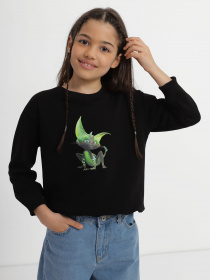 Свитшот INTERTOP модель 12019-8 Фото