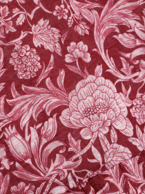 Лонгслів SPRINGFIELD модель 6762352_т.червоний комб. Фото