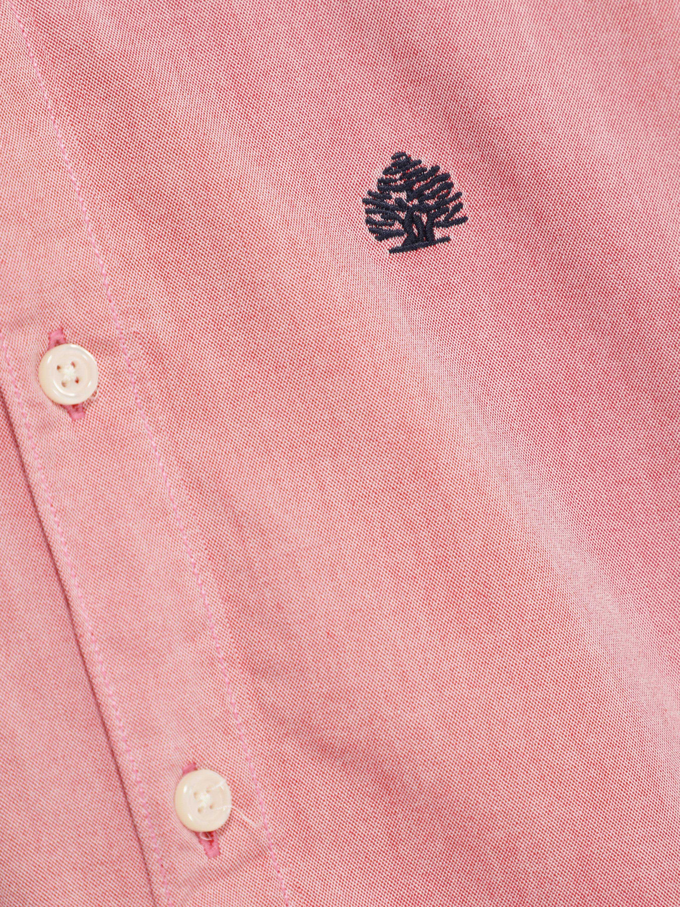 Рубашка повседневная SPRINGFIELD модель 0276499_рожевий Рубашка повседневная SPRINGFIELD модель 0276499_рожевий Фото