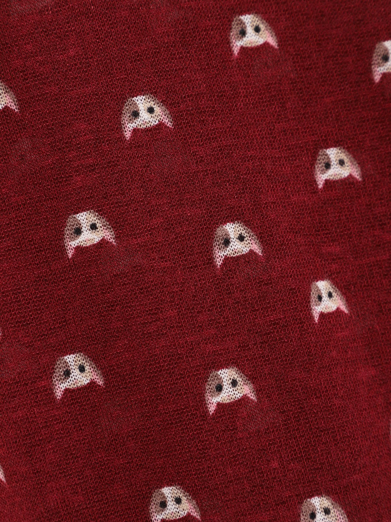 Лонгслив SPRINGFIELD модель 6763480_бордовий комб. Лонгслив SPRINGFIELD модель 6763480_бордовий комб. Фото