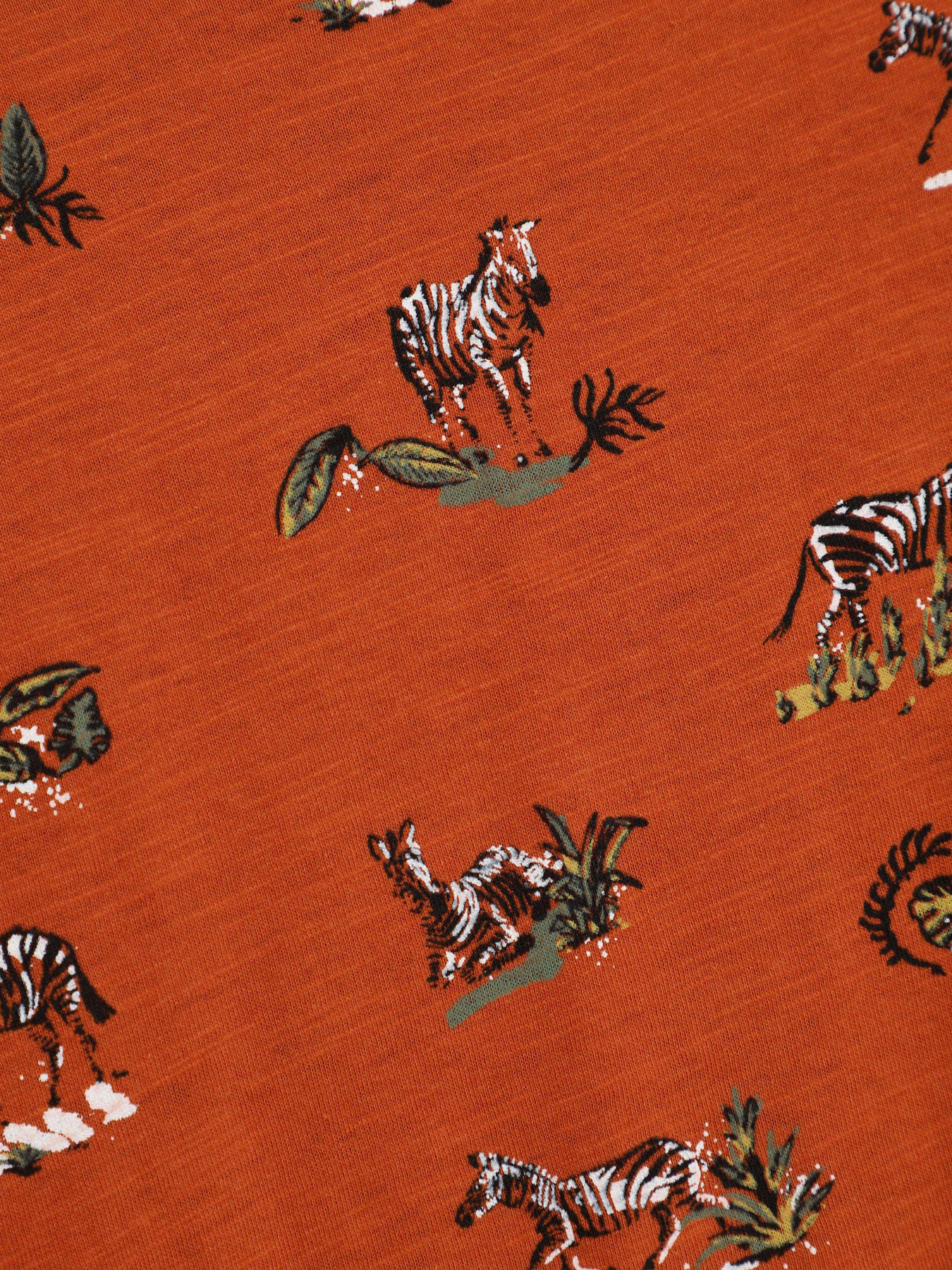 Лонгслів SPRINGFIELD модель 6764444_коричневий комб. Фото